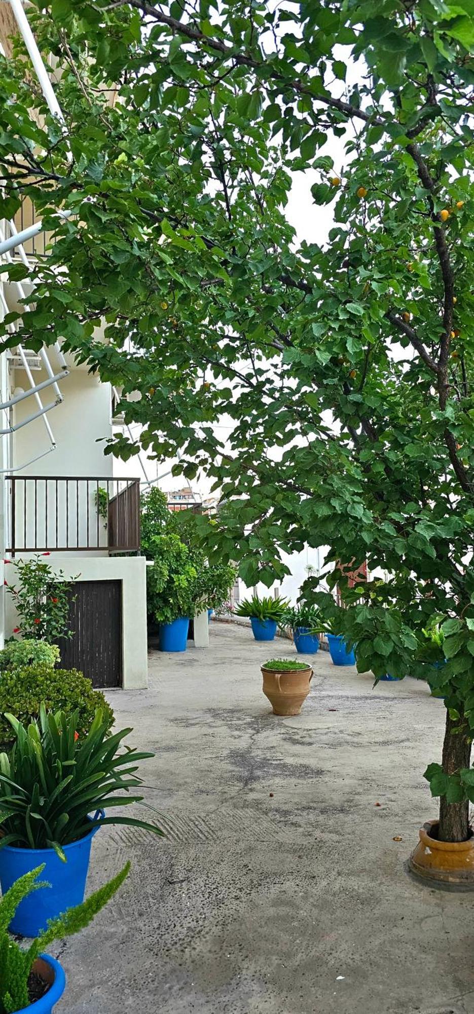 Pension Dimitra Votsi  Dış mekan fotoğraf